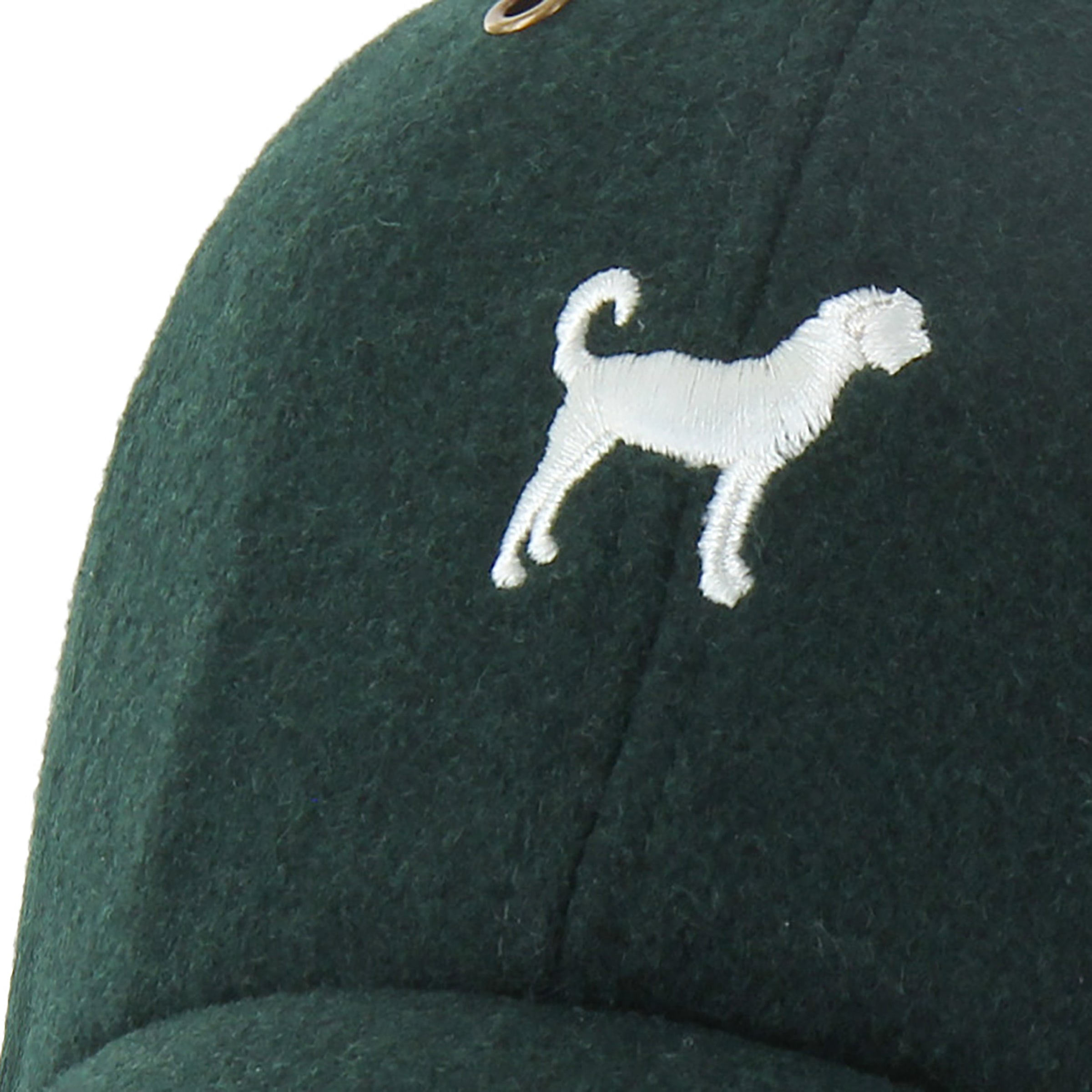 Goldendoodle Peacoat '47 Clean Up