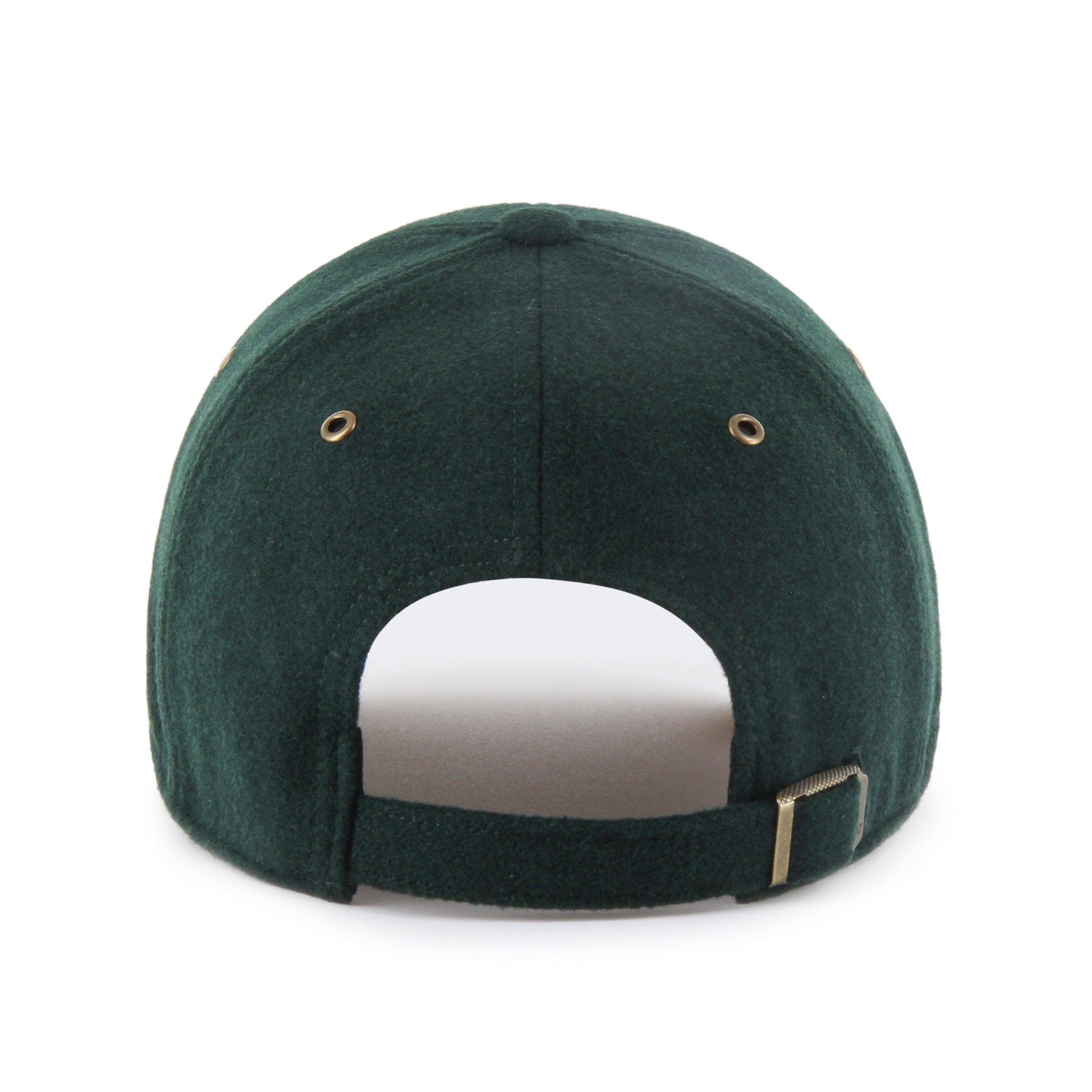Goldendoodle Peacoat '47 Clean Up