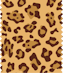 ANIMAL PRINT
